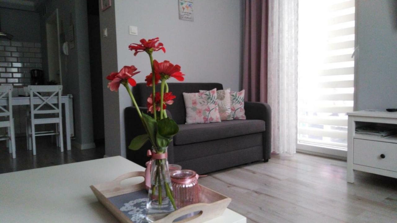 Apartament Antek Klimatyzowany Oświęcim Exterior foto